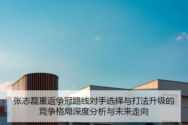 张志磊重返争冠路线对手选择与打法升级的竞争格局深度分析与未来走向